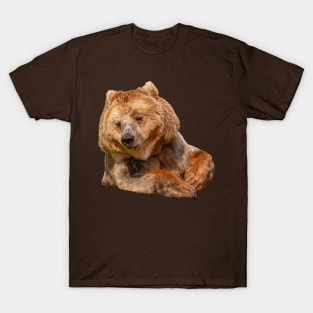 Just a Paws for thought T-Shirt